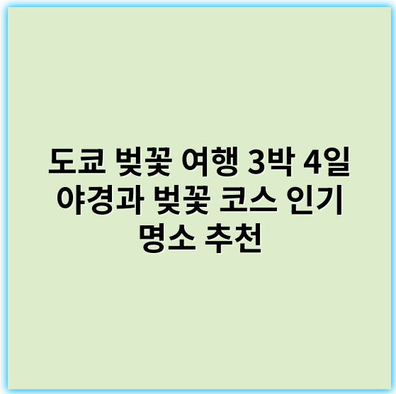 도쿄 벚꽃 여행 3박 4일 야경과 벚꽃 코스 인기 명소 추천 - 핵심 키워드: 벚꽃 야경