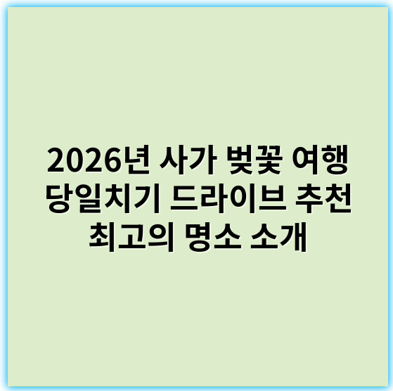 2026년 사가 벚꽃 여행 당일치기 드라이브 추천 최고의 명소 소개 - 벚꽃