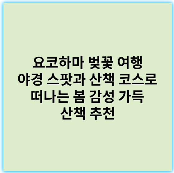 요코하마 벚꽃 여행 야경 스팟과 산책 코스로 떠나는 봄 감성 가득 산책 추천 - 야경