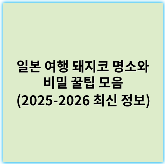 일본 여행 돼지코 명소와 비밀 꿀팁 모음 (2025-2026 최신 정보) - 돼지코 관광지