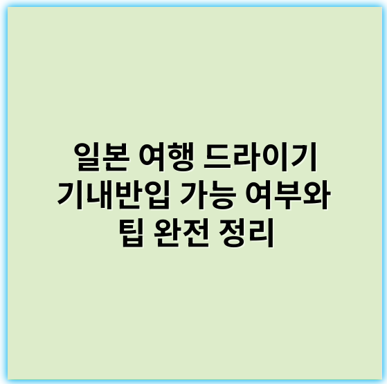 일본 여행 드라이기 기내반입 가능 여부와 팁 완전 정리 - 기내반입 가능 여부